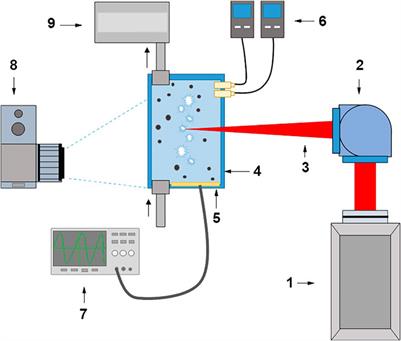 Influence of Gases Dissolved in Water on the Process of Optical Breakdown of Aqueous Solutions of Cu Nanoparticles